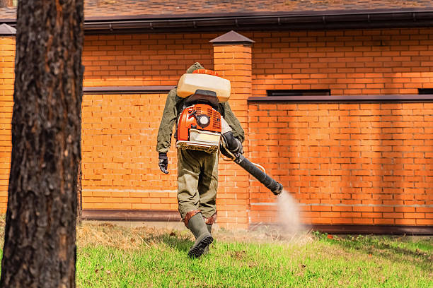 Trusted Bed Bug Control service in Social Circle, GA - Nex Pest Control
